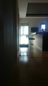 【ecosmart fire】エコスマートファイアのバイオエタノール暖炉【Ghost】